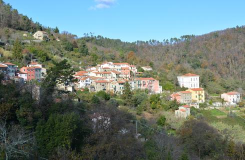     Campiglia